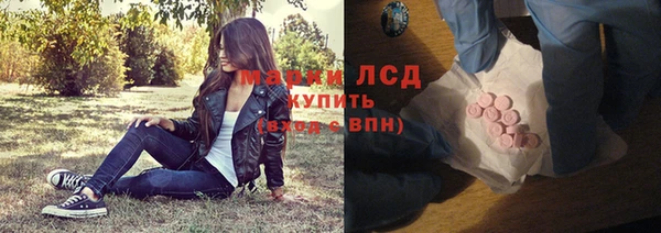 шишки Беломорск