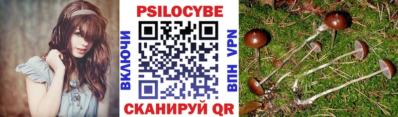 Псилоцибиновые грибы Psilocybine cubensis даркнет сайт Пионерский